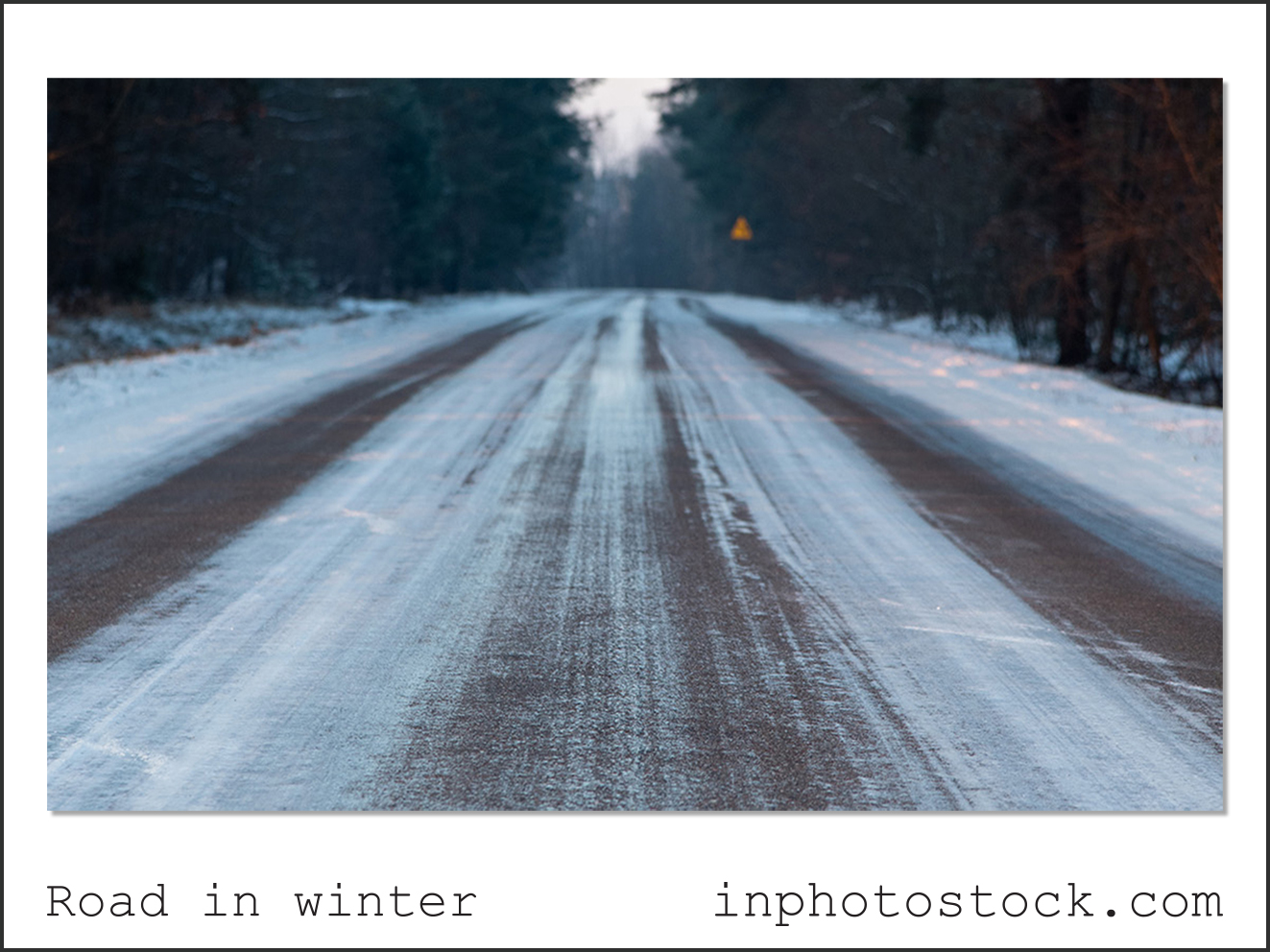 Road in winter photo stock