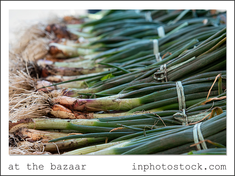 at the bazaar photo of the day inphotostock