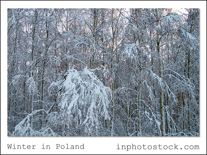 winter in Poland photography