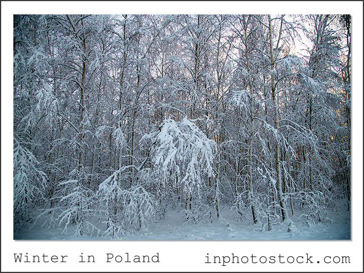 Winter in Polen Stockfotografie