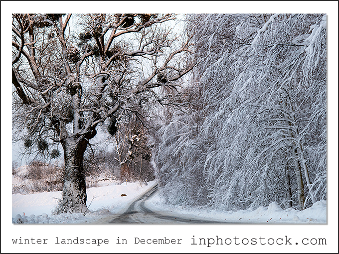 winter landscape in December inphotostock