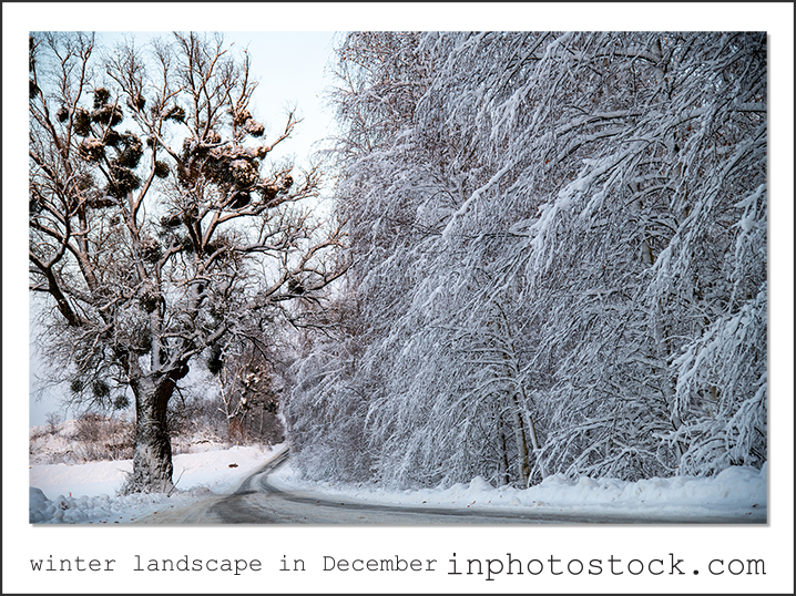 paisaje invernal en diciembre microstock